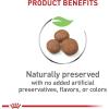 Royal Canin Size Health Nutrition Large Puppy Thin Slices in Gravy Dog Food, 13 oz (Pack of 6)(1 Count (Pack of 1))