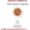 Royal Canin Size Health Nutrition Large Puppy Thin Slices in Gravy Dog Food, 13 oz (Pack of 6)(13 Ounce (Pack of 12))