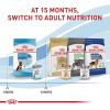 Royal Canin Size Health Nutrition Large Puppy Thin Slices in Gravy Dog Food, 13 oz (Pack of 6)(13 Ounce (Pack of 12))