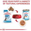 Royal Canin Size Health Nutrition Large Puppy Thin Slices in Gravy Dog Food, 13 oz (Pack of 6)(13 Ounce (Pack of 6))