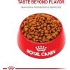 Royal Canin Size Health Nutrition Large Puppy Thin Slices in Gravy Dog Food, 13 oz (Pack of 6)(30 Pound (Pack of 1))