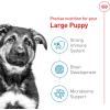 Royal Canin Size Health Nutrition Large Puppy Thin Slices in Gravy Dog Food, 13 oz (Pack of 6)(30 Pound (Pack of 1))