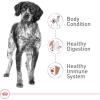 Royal Canin Size Health Nutrition Medium Adult Dry Dog Food, 4 lb Bag(17 Pound (Pack of 1))