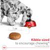 Royal Canin Size Health Nutrition Medium Adult Dry Dog Food, 4 lb Bag(17 Pound (Pack of 1))