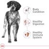 Royal Canin Size Health Nutrition Medium Adult Dry Dog Food, 4 lb Bag(40 Pound (Pack of 1))