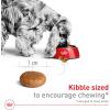 Royal Canin Size Health Nutrition Medium Adult Dry Dog Food, 4 lb Bag(40 Pound (Pack of 1))