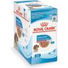 Royal Canin Size Health Nutrition Medium Puppy Chunks in Gravy Wet Dog Food, 4.9 oz pouch (10-pack)(4.9 Ounce (Pack of 10))