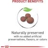Royal Canin Size Health Nutrition Medium Puppy Chunks in Gravy Wet Dog Food, 4.9 oz pouch (10-pack)(6 Pound (Pack of 1))