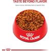 Royal Canin Size Health Nutrition Medium Puppy Thin Slices in Gravy Dog Food, 13 oz (Pack of 12)(17 Pound (Pack of 1))