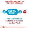 Royal Canin Size Health Nutrition Medium Puppy Thin Slices in Gravy Dog Food, 13 oz (Pack of 12)(30 Pound (Pack of 1))