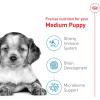 Royal Canin Size Health Nutrition Medium Puppy Thin Slices in Gravy Dog Food, 13 oz (Pack of 12)(30 Pound (Pack of 1))