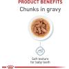 Royal Canin Size Health Nutrition Medium Puppy Thin Slices in Gravy Dog Food, 13 oz (Pack of 12)(4.9 Ounce (Pack of 10))