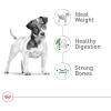 Royal Canin Size Health Nutrition Small Adult Dry Dog Food, 30 lb Bag(14 Pound (Pack of 1))