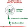 Royal Canin Size Health Nutrition Small Adult Dry Dog Food, 30 lb Bag(2.5 Pound (Pack of 1))