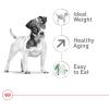 Royal Canin Size Health Nutrition Small Aging 12+ Senior Dry Dog Food, 12 lb Bag(12 Pound (Pack of 1))
