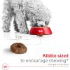Royal Canin Size Health Nutrition Small Aging 12+ Senior Dry Dog Food, 12 lb Bag(2.5 Pound (Pack of 1))