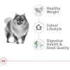 Royal Canin Size Health Nutrition Small Indoor Adult Dry Dog Food, 2.5 lb Bag(Adult)