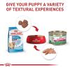Royal Canin Size Health Nutrition Small Indoor Adult Dry Dog Food, 2.5 lb Bag(Puppy)