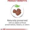 Royal Canin Size Health Nutrition Small Indoor Adult Dry Dog Food, 2.5 lb Bag(Puppy)
