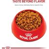 Royal Canin Size Health Nutrition Small Puppy Dry Dog Food, 4 lb Bag(14 Pound (Pack of 1))