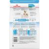 Royal Canin Size Health Nutrition Starter Mother & Babydog Mousse in Sauce Dog Food, 5.1 oz (Pack of 24)(32 Fl Oz (Pack of 1))