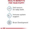 Royal Canin Size Health Nutrition Starter Mother & Babydog Mousse in Sauce Dog Food, 5.1 oz (Pack of 24)(5.1 Ounce (Pack of 24))