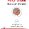 Royal Canin Size Health Nutrition Starter Mother & Babydog Mousse in Sauce Dog Food, 5.1 oz (Pack of 24)(5.1 Ounce (Pack of 24))