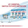 Royal Canin Size Health Nutrition Starter Mother & Babydog Mousse in Sauce Dog Food, 5.1 oz (Pack of 24)(5.1 Ounce (Pack of 24))