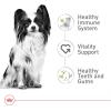 Royal Canin Size Health Nutrition X-Small 8+ Senior Dry Dog Food, 2.5 lb Bag