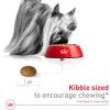 Royal Canin Size Health Nutrition X-Small 8+ Senior Dry Dog Food, 2.5 lb Bag