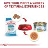 Royal Canin Size Health Nutrition X-Small Puppy Thin Slices in Gravy Dog Food, 3 oz (Pack of 24)(Chicken)