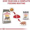Royal Canin Small Sensitive Skin Care Dry Dog Food, 3 lb bag(30 Pound (Pack of 1))