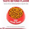 Royal Canin Small Weight Care Adult Dry Dog Food for Small Breeds, 13 lb bag(2.5 Pound (Pack of 1))