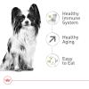 Royal Canin X-Small Aging 12+ Dry Dog Food, 2.5 lb bag