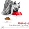 Royal Canin X-Small Aging 12+ Dry Dog Food, 2.5 lb bag