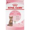 Royal Canin Appetite Control Spayed/Neutered 12+ Dry Adult Cat Food, 7 lb bag(2.5 Pound (Pack of 1))