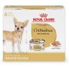 Royal Canin Breed Health Nutrition Chihuahua Adult Loaf in Sauce Dog Food, 3 oz (Pack of 6)(3 Ounce (Pack of 6))