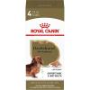 Royal Canin Breed Health Nutrition Dachshund Adult Loaf in Sauce Wet Dog Food, 3 oz can (24-Count)(3 Ounce (Pack of 4))