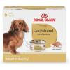 Royal Canin Breed Health Nutrition Dachshund Adult Loaf in Sauce Wet Dog Food, 3 oz can (24-Count)(3 Ounce (Pack of 6))