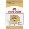 Royal Canin Breed Health Nutrition Labrador Retriever Adult Loaf in Sauce Dog Food, 13.5 oz (Pack of 12)(30 Pound (Pack of 1))