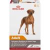 Royal Canin Canine Health Nutrition Adult In Gel Dog Food, 13.5 oz (Pack of 6)(1 Count (Pack of 6))