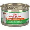 Royal Canin Canine Health Nutrition Mature 8+ Loaf in Sauce Dog Food, 5.2 oz (Pack of 24)(0.22 Ounce (Pack of 24))