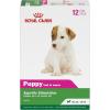 Royal Canin Canine Health Nutrition Puppy Loaf in Sauce Dog Food, 5.2 oz (Pack of 12)