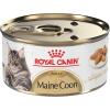 Royal Canin Feline Breed Nutrition Maine Coon Adult Thin Slices in Gravy Cat Food, 3 oz (Pack of 24)(3 Ounce (Pack of 24))