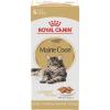 Royal Canin Feline Breed Nutrition Maine Coon Adult Thin Slices in Gravy Cat Food, 3 oz (Pack of 24)(3 Ounce (Pack of 4))