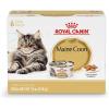 Royal Canin Feline Breed Nutrition Maine Coon Adult Thin Slices in Gravy Cat Food, 3 oz (Pack of 24)(3 Ounce (Pack of 6))