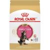 Royal Canin Feline Breed Nutrition Maine Coon Adult Thin Slices in Gravy Cat Food, 3 oz (Pack of 24)(3 Pound (Pack of 1))