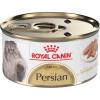 Royal Canin Feline Breed Nutrition Persian Kitten Dry Cat Food, 3 lb Bag(3 Ounce (Pack of 24))