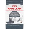 Royal Canin Feline Care Nutrition Dental Care Adult Dry Cat Food, 6 lb Bag(6 Pound (Pack of 1))