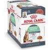 Royal Canin Feline Care Nutrition Digestive Care Adult Thin Slices in Gravy and Loaf in Sauce Cat Food, 3 oz (Pack of 12)(3 Ounce (Pack of 12))
